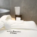 Dimilia Plintri